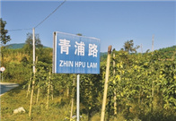 Shanghai paves the way for poverty-alleviation in Yunnan